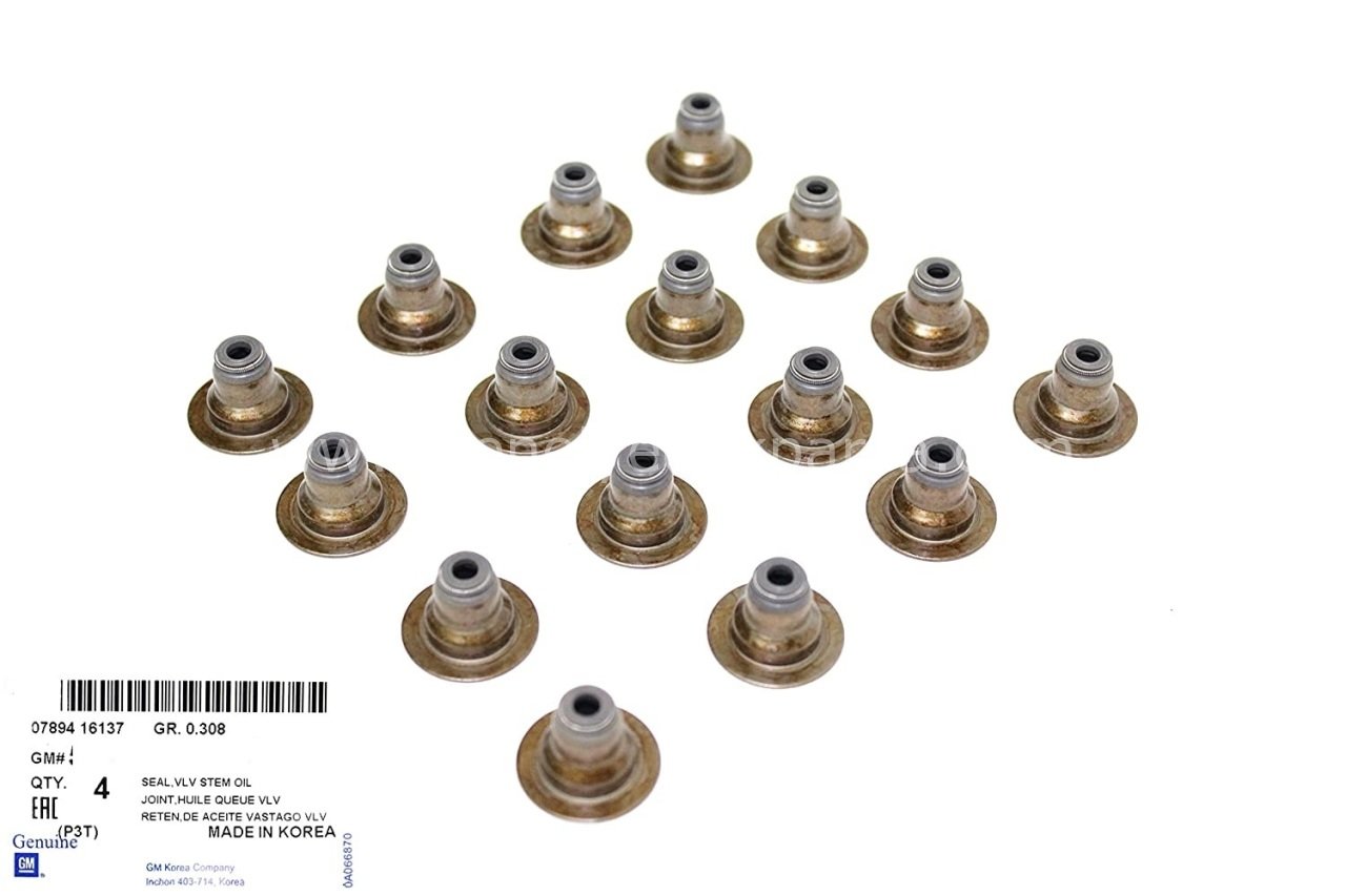 Opel Zafira B 1.6 Subap Lastiği Takım Orijinal Gm